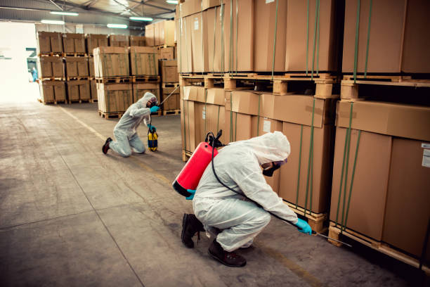Best Rat Extermination Near Me  in South Chicago Heights, IL