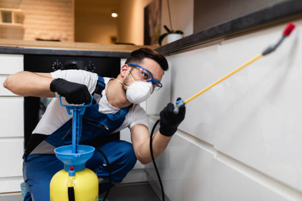 Best Wildlife Control Services  in South Chicago Heights, IL