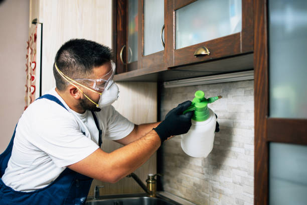 Best Affordable Pest Control Services  in South Chicago Heights, IL